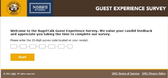 BagelExperience - Surveystor