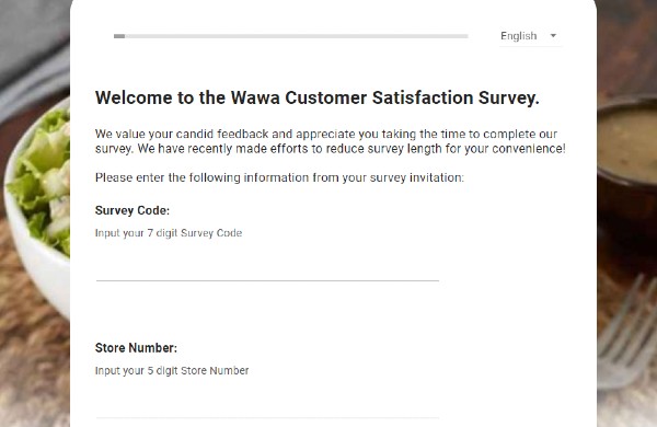 Wawa Survey