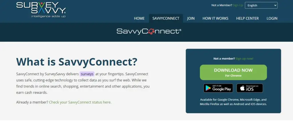 SavvyConnect image