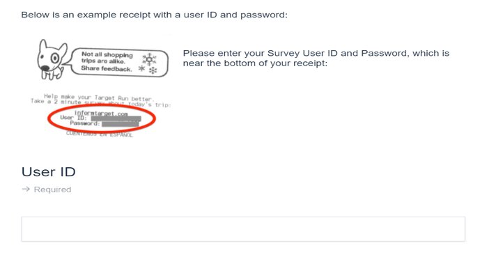 Target Survey Informtarget - Surveystor