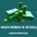 How much robux is 20 dollars - surveystor