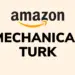 Amazon Mechanical Turk - Mturk - Surveystor