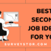 Best second job ideas - Surveystor