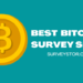 Best Bitcoin Survey Sites - Surveystor