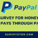 Best Survey for Money Sites That Pays Through PayPal - Surveystor